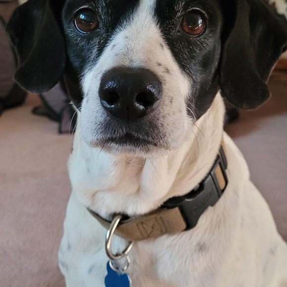 Meet your Posher, Tami - Picture 4 of 8